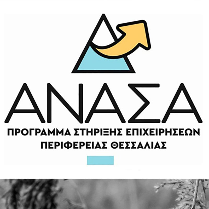 anasa